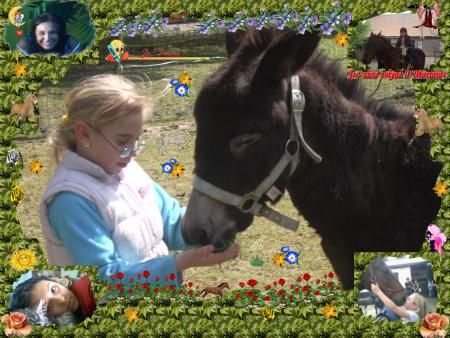colyne et chocolat 